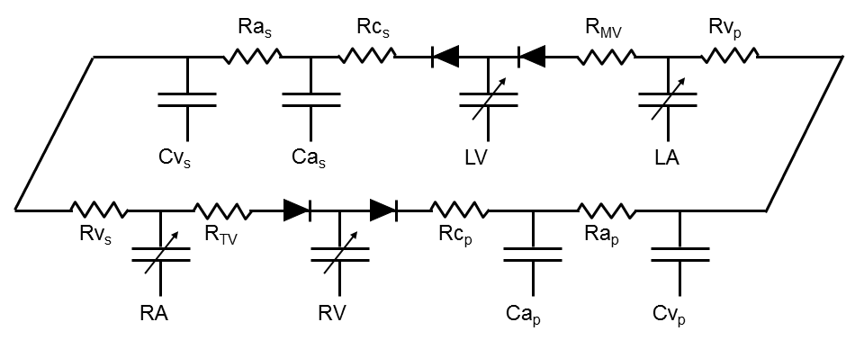 Electric analog of the of the basic circulatory system