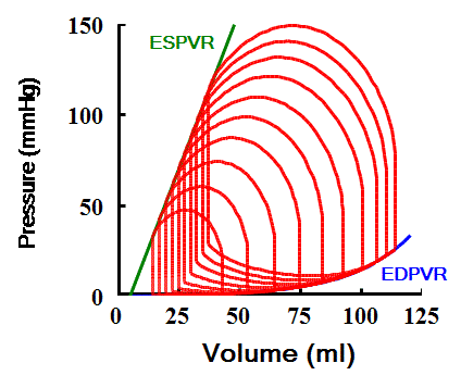 Figure 9-2. Loops obtained over a wide range of preloads define the ESPVR and EDPVR.