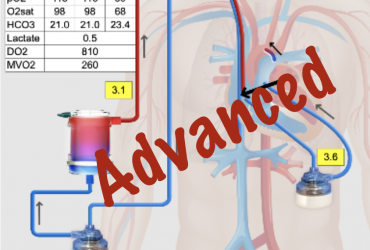 Surgical Approaches to PA HTN