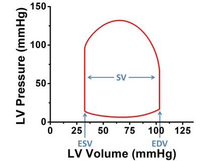 C. Volumes retrievable from PV loop.