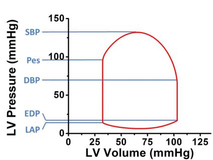 D. Pressures retrievable from PV loop.