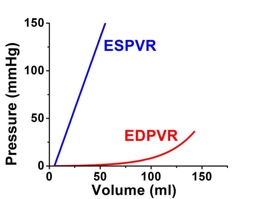 Figure 6-1. Ventricular level pressure-volume relations, analogous to muscle force-length relations.