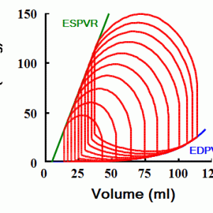 Figure 9-2. Loops obtained over a wide range of preloads define the ESPVR and EDPVR.