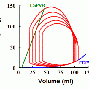 Figure 11-3.  Family of PV loops with increases and decreases in contractility from a baseline state shown by the green ESPVR line.